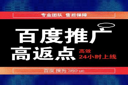 百度竞价广告运营的技巧与误区：成功案例解析